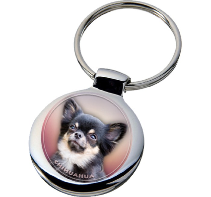 chihuahua_218-703 